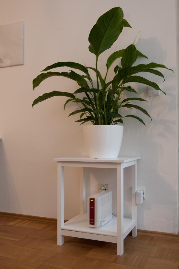 Studio Apartment - Zentral Mit Parkplatz - Balkon Bayreuth Esterno foto
